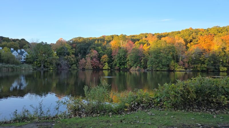 Bedford Hills Memorial Park - Bedford Hills, NY