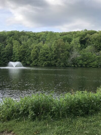 Bedford Hills Memorial Park - Bedford Hills, NY