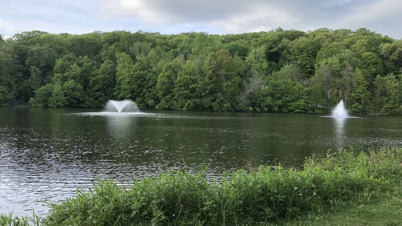 Bedford Hills Memorial Park - Bedford Hills, NY