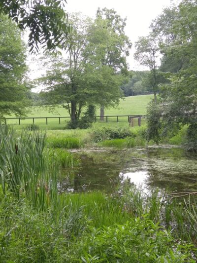 Guard Hill Preserve - Bedford, NY