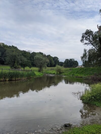 Guard Hill Preserve - Bedford, NY