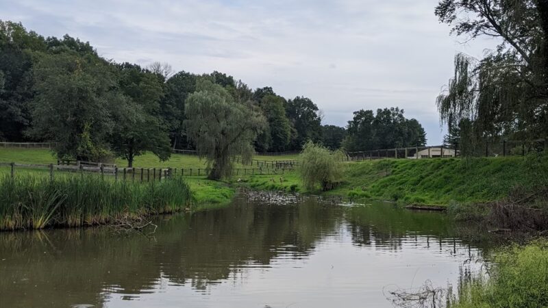 Guard Hill Preserve - Bedford, NY