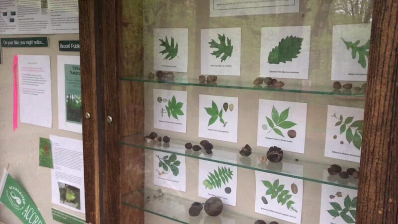 Mianus River Gorge Preserve - Bedford, NY