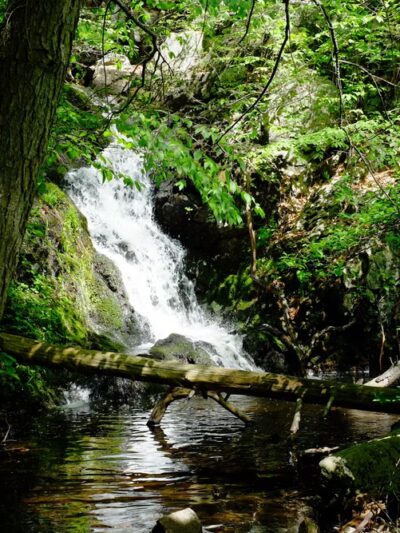 Mianus River Gorge Preserve - Bedford, NY