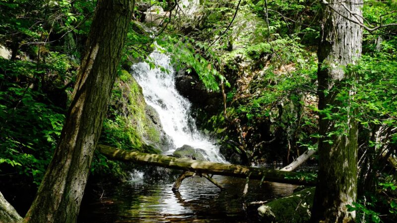 Mianus River Gorge Preserve - Bedford, NY