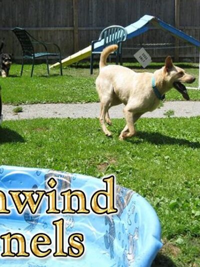 Northwind Kennels - Bedford, NY