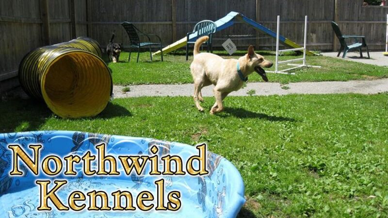 Northwind Kennels - Bedford, NY