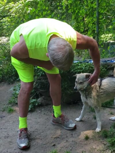 Northwind Kennels - Bedford, NY