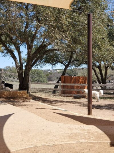 City of Bee Cave Dog Park - Bee Cave, TX