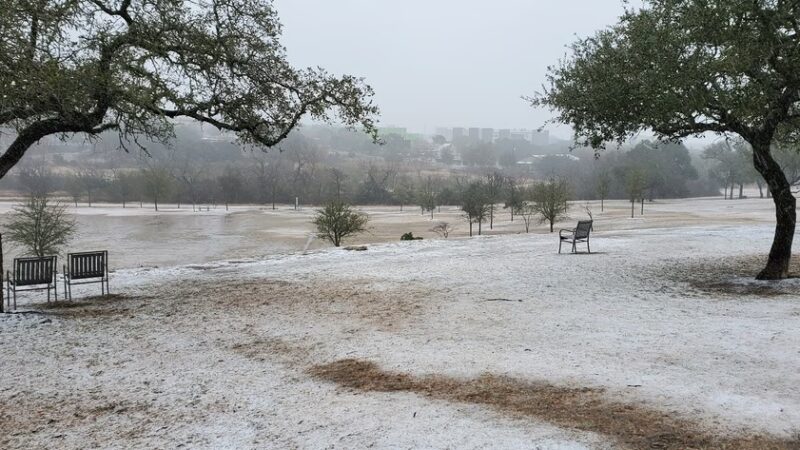 City of Bee Cave Dog Park - Bee Cave, TX