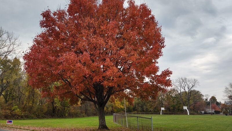 Belford Park - Belford, NJ