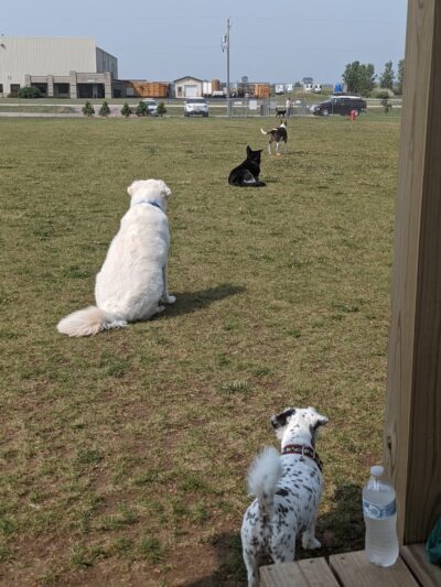 Pepi's Playground - Belgium, WI