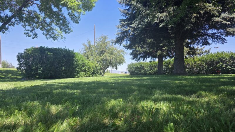 Clarkin Park - Belgrade, MT