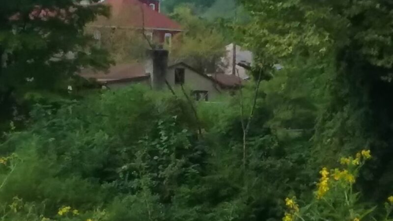 VFW Park - Belington, WV