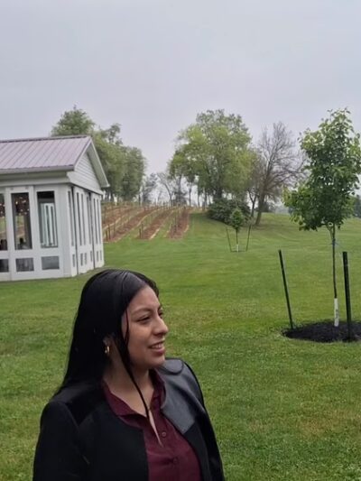 Brookmere Winery & Vineyard Inn - Belleville, PA