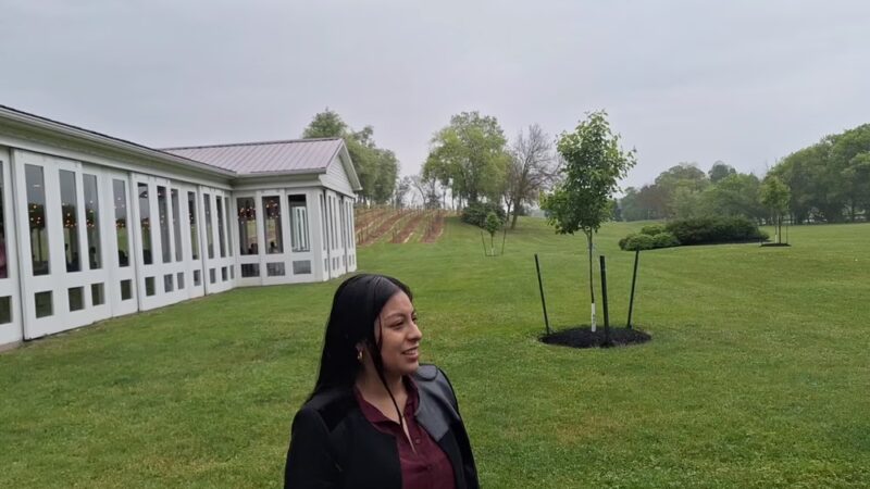 Brookmere Winery & Vineyard Inn - Belleville, PA