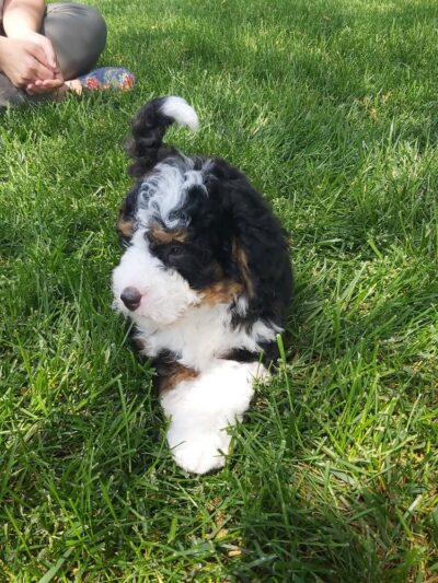 Pencroft Farm - Belleville, PA