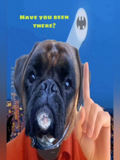 Robinswood Off-Leash Area - Bellevue, WA