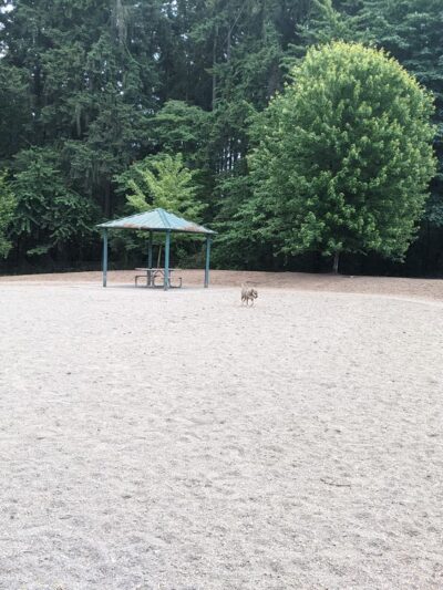Robinswood Off-Leash Area - Bellevue, WA