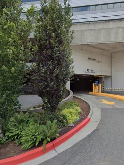 Bellevue city hall Off leash dog area - Bellevue, WA