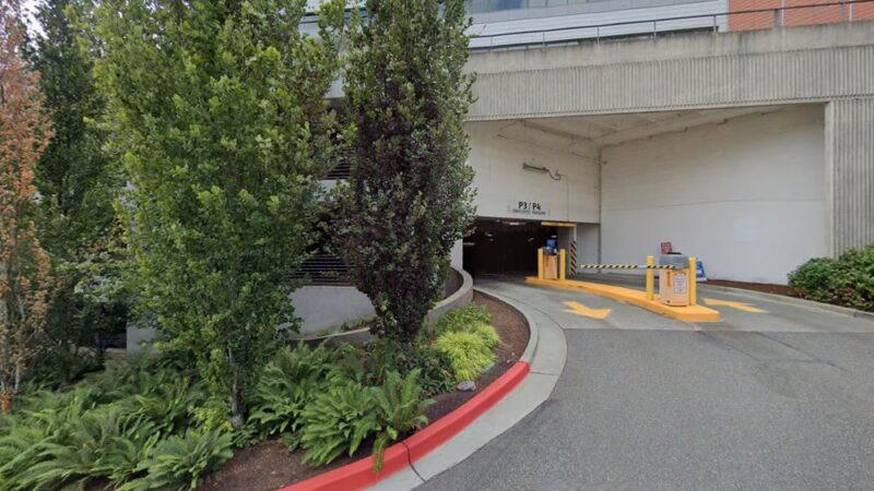 Bellevue city hall Off leash dog area - Bellevue, WA