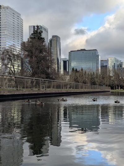 Bellevue Parks - Bellevue, WA