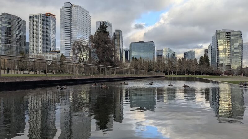 Bellevue Parks - Bellevue, WA