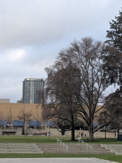 Bellevue Parks - Bellevue, WA