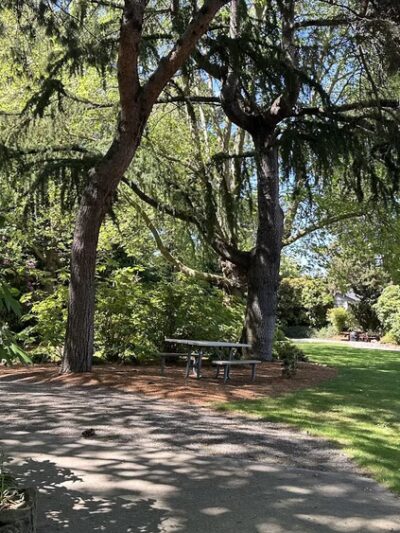 Goddard Park - Bellevue, WA