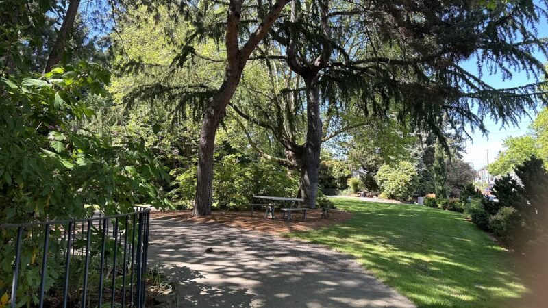 Goddard Park - Bellevue, WA