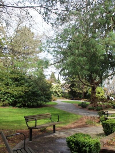 Goddard Park - Bellevue, WA