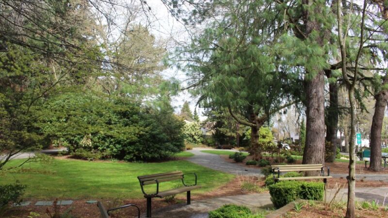 Goddard Park - Bellevue, WA