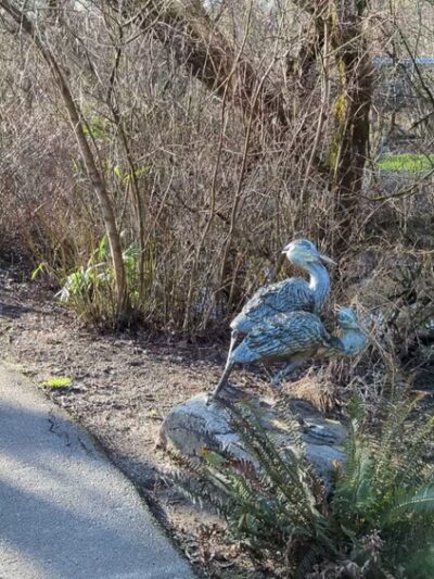 Kelsey Creek Park - Bellevue, WA