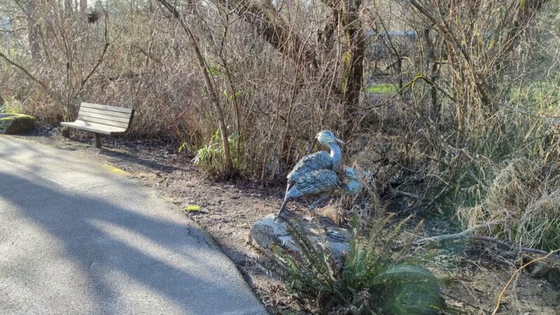 Kelsey Creek Park - Bellevue, WA