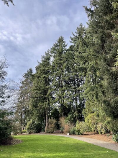 McCormick Park - Bellevue, WA