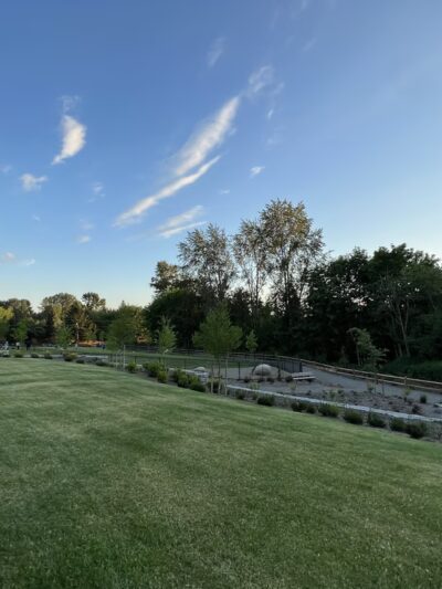 Newport Hills Dog Park - Bellevue, WA