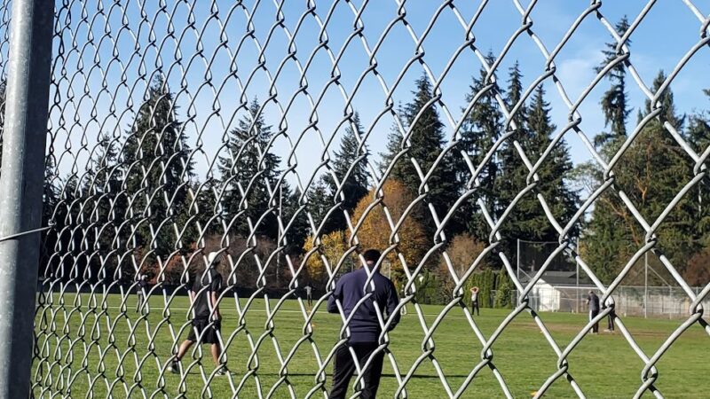 North Robinswood Park - Bellevue, WA