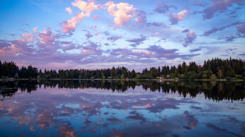 Phantom Lake Park - Bellevue, WA