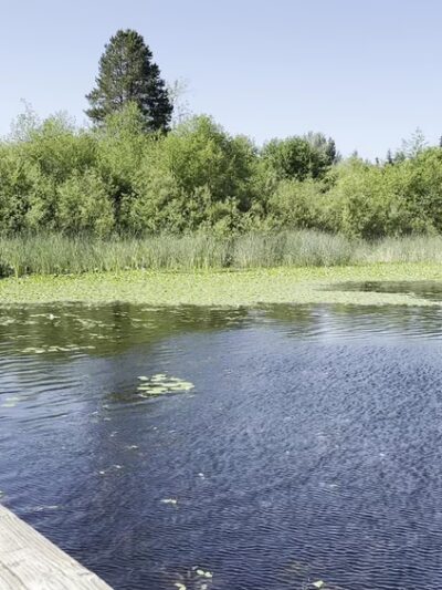 Phantom Lake Park - Bellevue, WA