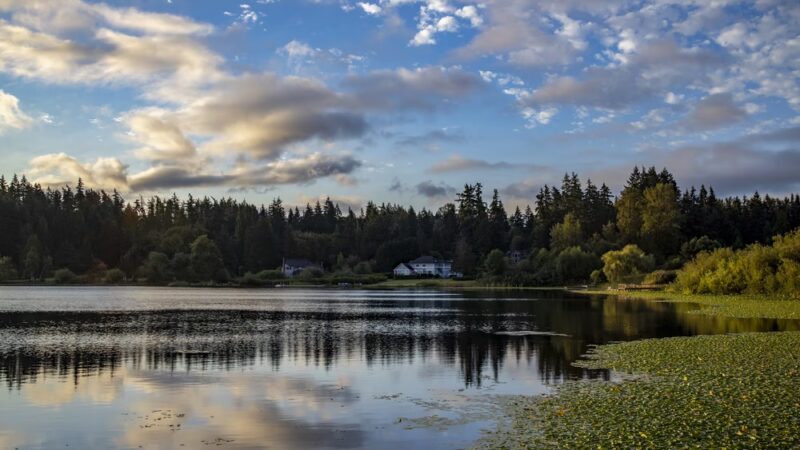 Phantom Lake Park - Bellevue, WA