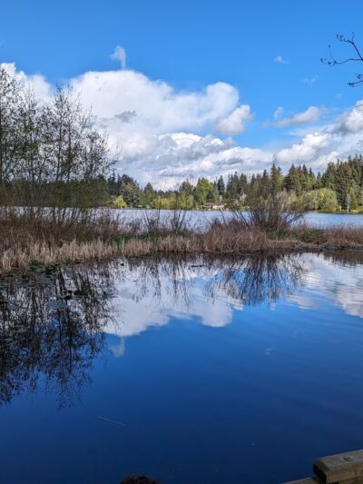 Phantom Lake Park - Bellevue, WA