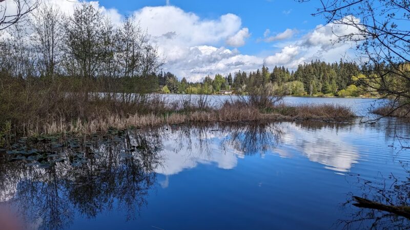 Phantom Lake Park - Bellevue, WA
