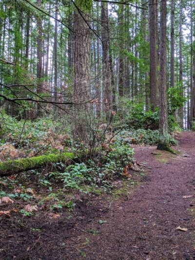 Robinswood Community Park - Bellevue, WA