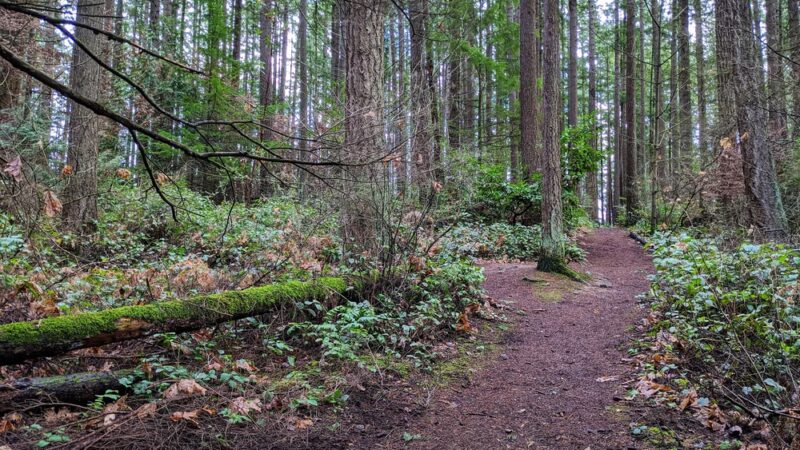 Robinswood Community Park - Bellevue, WA