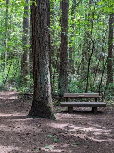 Robinswood Park Trail - Bellevue, WA