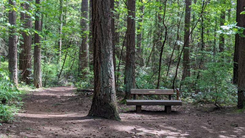 Robinswood Park Trail - Bellevue, WA