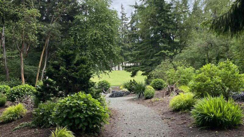 Robinswood Park Trail - Bellevue, WA