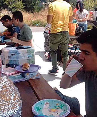 Surrey Downs Park - Bellevue, WA