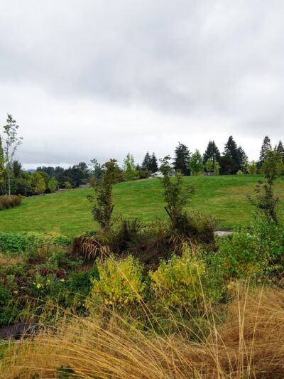 Surrey Downs Park - Bellevue, WA