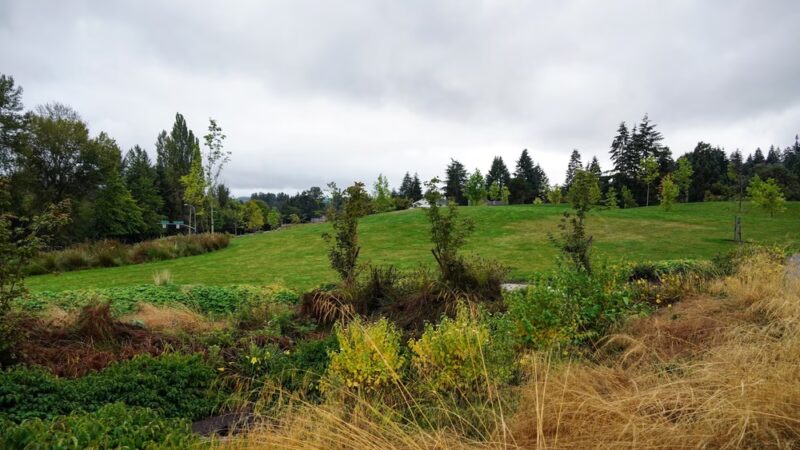 Surrey Downs Park - Bellevue, WA